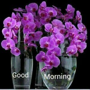 Meet your Posher, Douglas